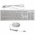 HP Wired Desktopset Toetsenbord + Muis ( QWERTZ )