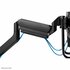 Neomounts Newstar DS75-450BL2 | In Hoogte Verstelbare Monitor-bureaubeugel | Tot 32" | Max 8kg | VESA 100x100 | 2 Monitoren_