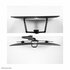 Neomounts Newstar DS75-450BL2 | In Hoogte Verstelbare Monitor-bureaubeugel | Tot 32" | Max 8kg | VESA 100x100 | 2 Monitoren_