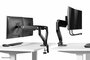 Neomounts Newstar DS75-450BL2 | In Hoogte Verstelbare Monitor-bureaubeugel | Tot 32" | Max 8kg | VESA 100x100 | 2 Monitoren_