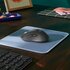 Logitech Signature M650 | Draadloze Muis | RF-Draadloos + Bluetooth | 1000 DPI | Grafiet_