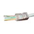 Gembird LC-PTF-01/50 kabel-connector 8P8C RJ45 Transparant_