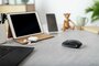 Cherry GENTIX BT | Ambidextrous Draadloze Muis | Bluetooth | 2000 DPI | Zwart_